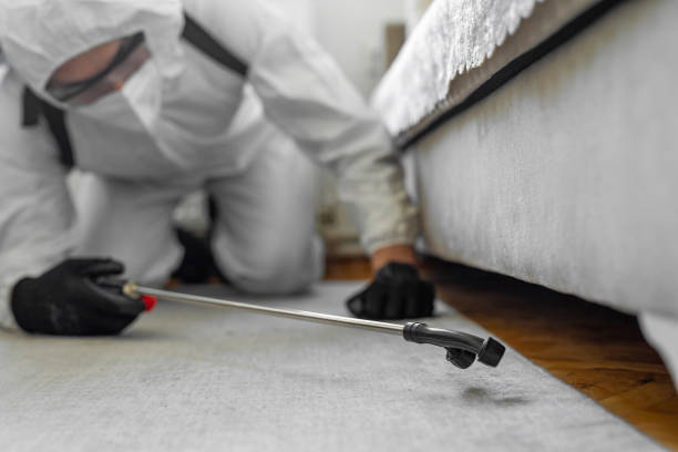 Professional Pest Control technician working in Plainedge, NY